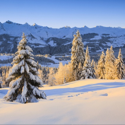 L'inverno non molla, fino a 50 centimetri di neve a nord delle Alpi