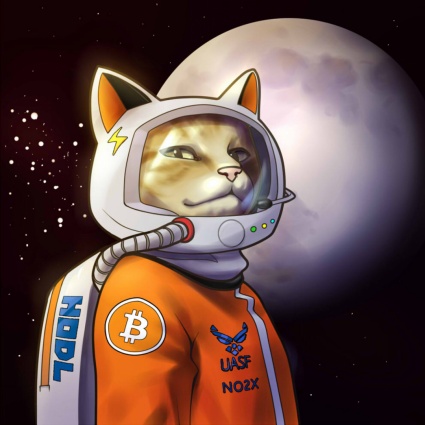 Hodlonaut: «Le mie battaglie per la verità su Bitcoin»