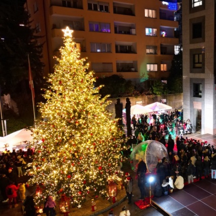 L'albero di Natale arriva a Paradiso