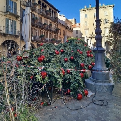 Abbattuto dal vento l'albero di Natale in piazza Duomo a Como