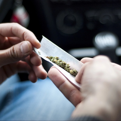 Cannabis legale, il primo anno del progetto pilota è andato bene