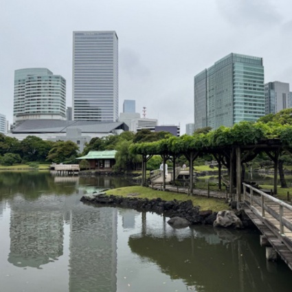Tokyo: dalle antiche strade alle luci al neon