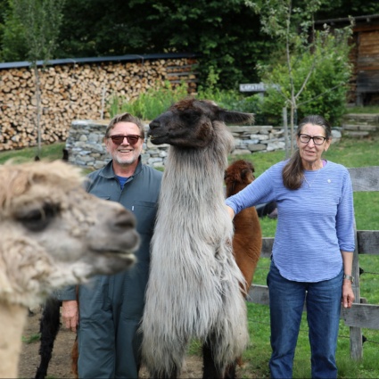 Tra i monti ticinesi, ma senza mucche e capre: «Ci siamo innamorati dei lama»
