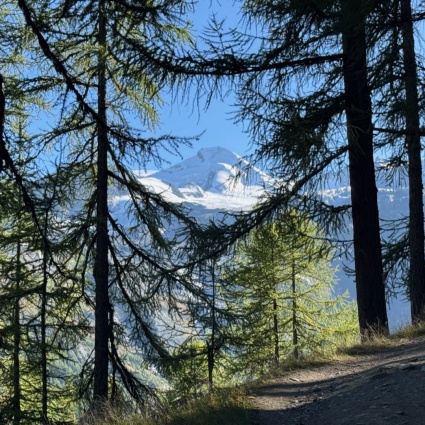 Tra autunno e inverno: il respiro eterno della montagna