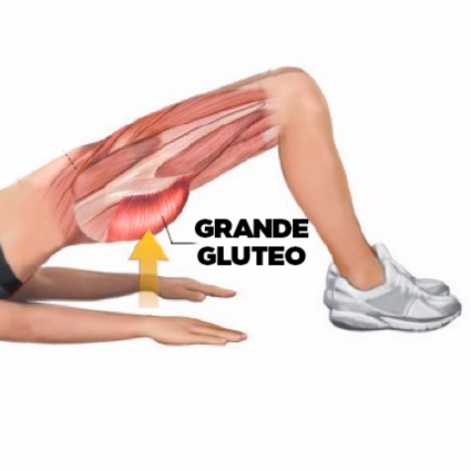 Allenare il grande gluteo