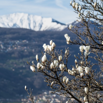 Dopo la neve l’inverno allenta la presa