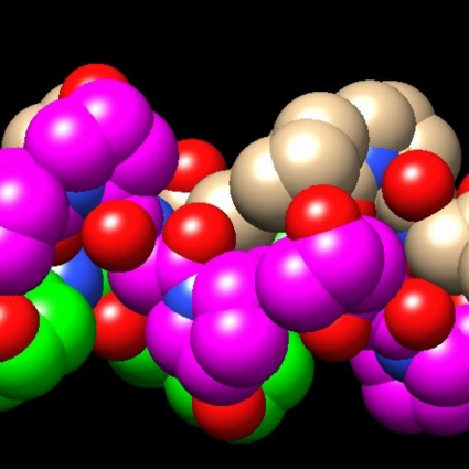 Il collagene