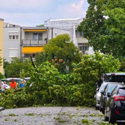 Alberi sulle strade e folate degne di un tifone: il maltempo spazza la Svizzera