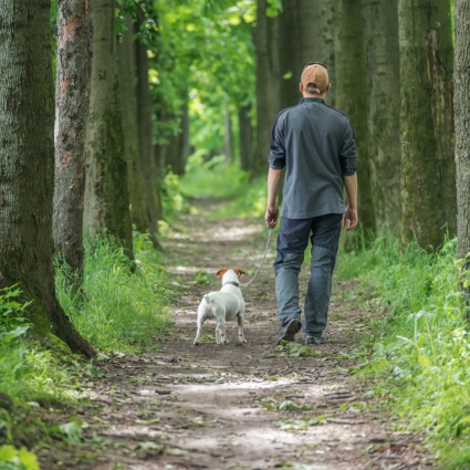 Avere animali domestici non rende automaticamente più felici