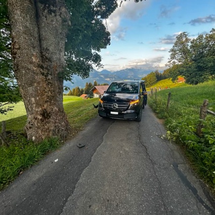 Auto contro un albero, sette persone ferite