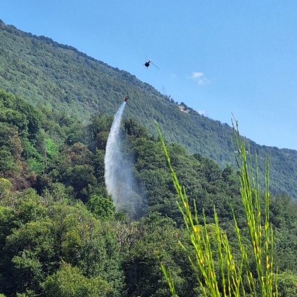 Brucia il bosco sopra Brissago