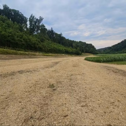 Cadavere trovato in un campo: mancano testa, mani e piedi