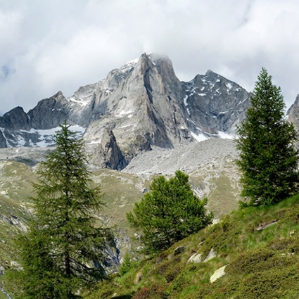 160 anni fa la prima ascesa al Pizzo Cengalo