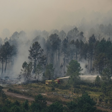 Incendi sotto controllo in Gironda, attesi pioggia e calo delle temperature
