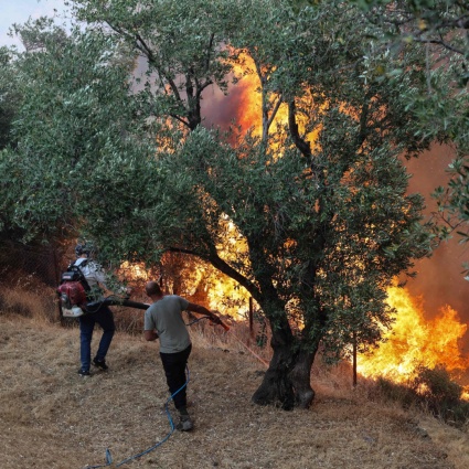Incendi boschivi, morto un terzo pompiere