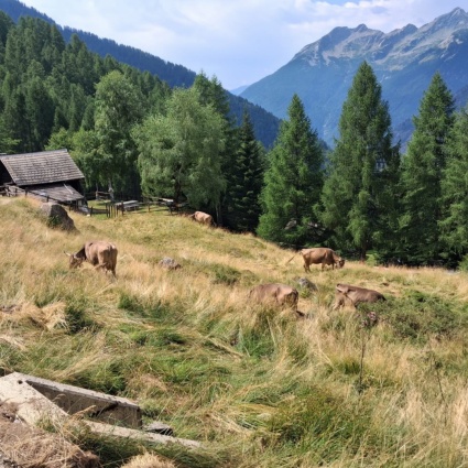È allarme in alta montagna
