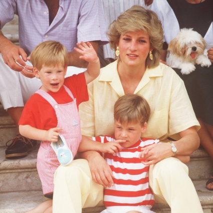 I figli vanno abbracciati, Harry rivendica il "modello Diana"