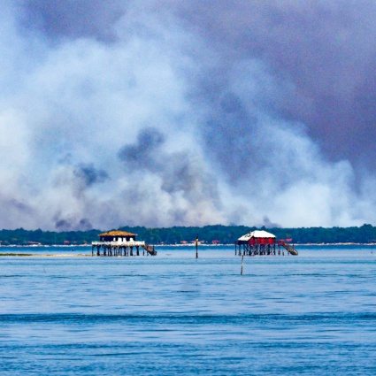 In fuga via mare dall'inferno di Cap Ferret, l'Europa brucia