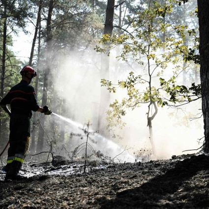 Incendi nel sud della Francia, mobilitati centinaia di pompieri