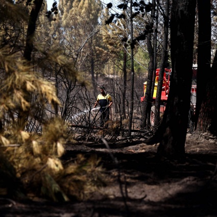 Quasi 20mila persone evacuate dopo un incendio sulla costa atlantica