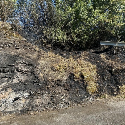 Un fuoco acceso illegalmente dà vita a un incendio: denuncia in vista