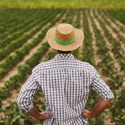 Dieci incidenti mortali nell'agricoltura da gennaio a giugno