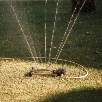 Allarme siccità: ecco come puoi salvare il giardino
