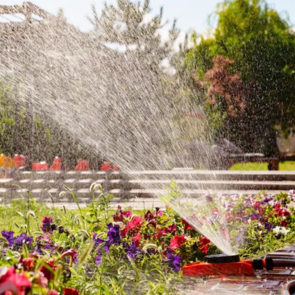 Boom di irrigatori nonostante la carenza d'acqua