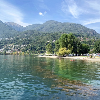 Comparto a lago tra Minusio e Tenero-Contra: all’avvio uno studio di fattibilità per valorizzarlo