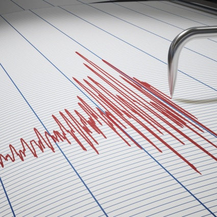 Terremoto di magnitudo 7.4 al largo coste del Messico, allerta tsunami