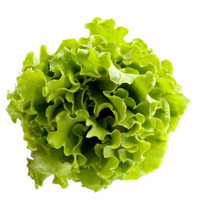 Ondata di diarrea, sospetti sull'insalata