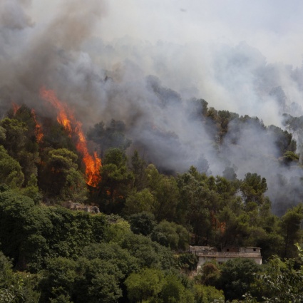 Alta tensione in Sicilia: gli incendi si moltiplicano su tutta l'isola