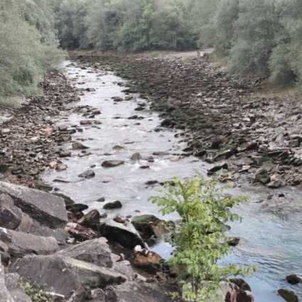 Moria di pesci nel fiume Albula