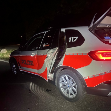 Ubriaca urta l’auto della polizia mentre gli agenti soccorrono un gatto ferito