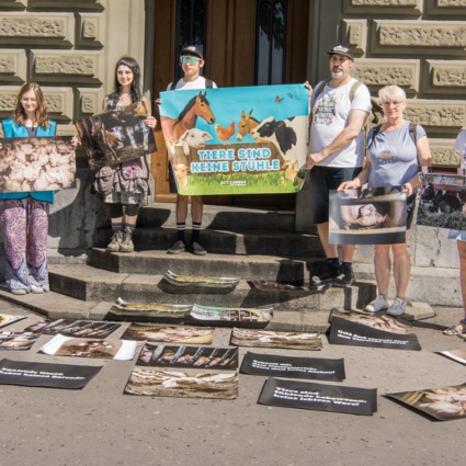 Quasi 20mila firme per rivedere la legge sulla protezione degli animali