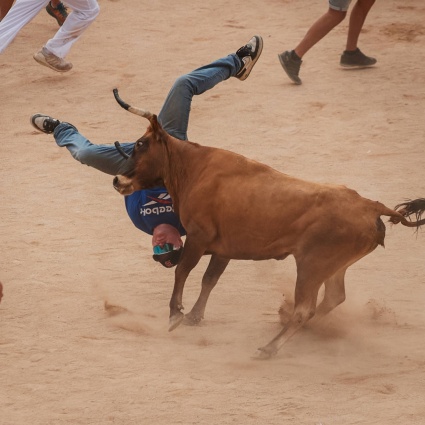 I tori ne incornano almeno tre