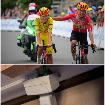 Tour, polemiche sugli alberghi: «Stanze con ragni, muffa e sporcizia»