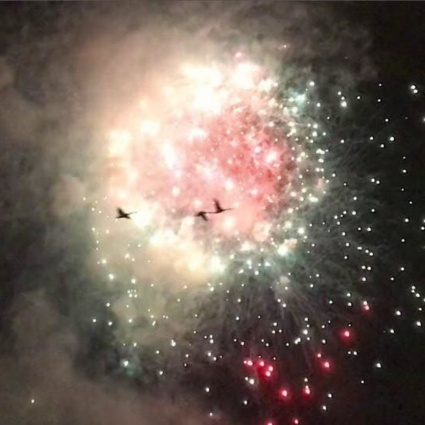 Gli uccelli "stressati" dai fuochi d'artificio