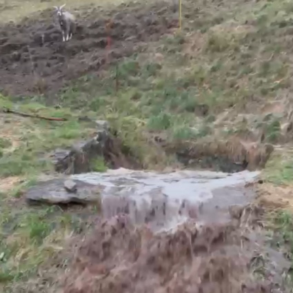Un fiume di acqua e fango invade Freggio