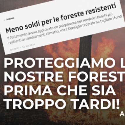 50’000 firme in appena tre giorni per la protezione delle foreste. Albert Rösti deve fare un passo indietro