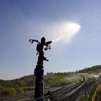 Acqua per l'agricoltura, Novazzano corre ai ripari