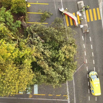 Albero abbattuto dal maltempo colpisce un bambino