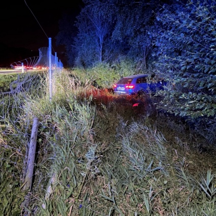 Auto sfonda recinzione sull’A13