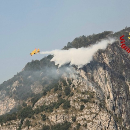 Brucia il Moregallo, ettari di bosco in fumo