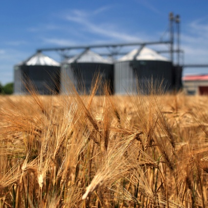 Allarme sui raccolti estivi, con il caldo giù del 14%