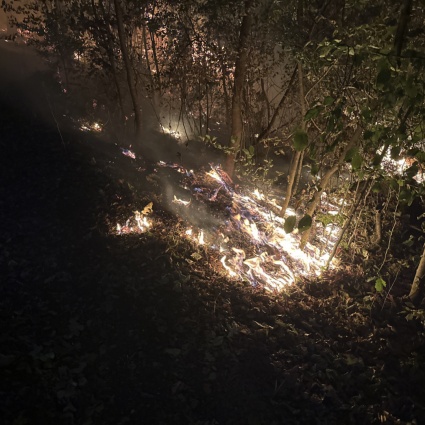 Möriken, fiamme sotto controllo