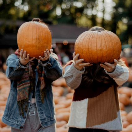 Fuori di zucca, ecco il primo villaggio delle zucche in Ticino