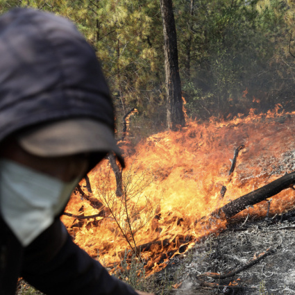 Incendi boschivi in Algeria, almeno 69 morti