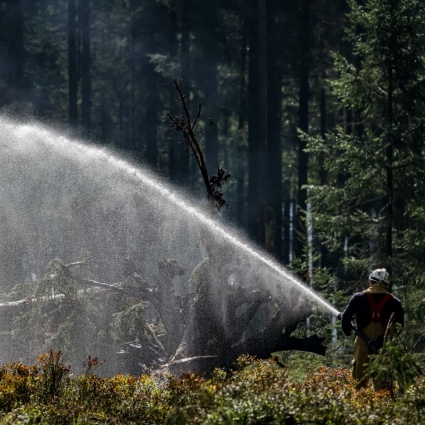 Alte Fagne, l'incendio è complessivamente «sotto controllo»