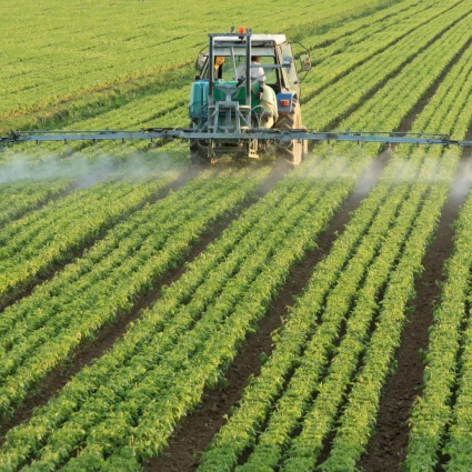 Le organizzazioni ambientaliste dicono no all'iniziativa sull'alimentazione